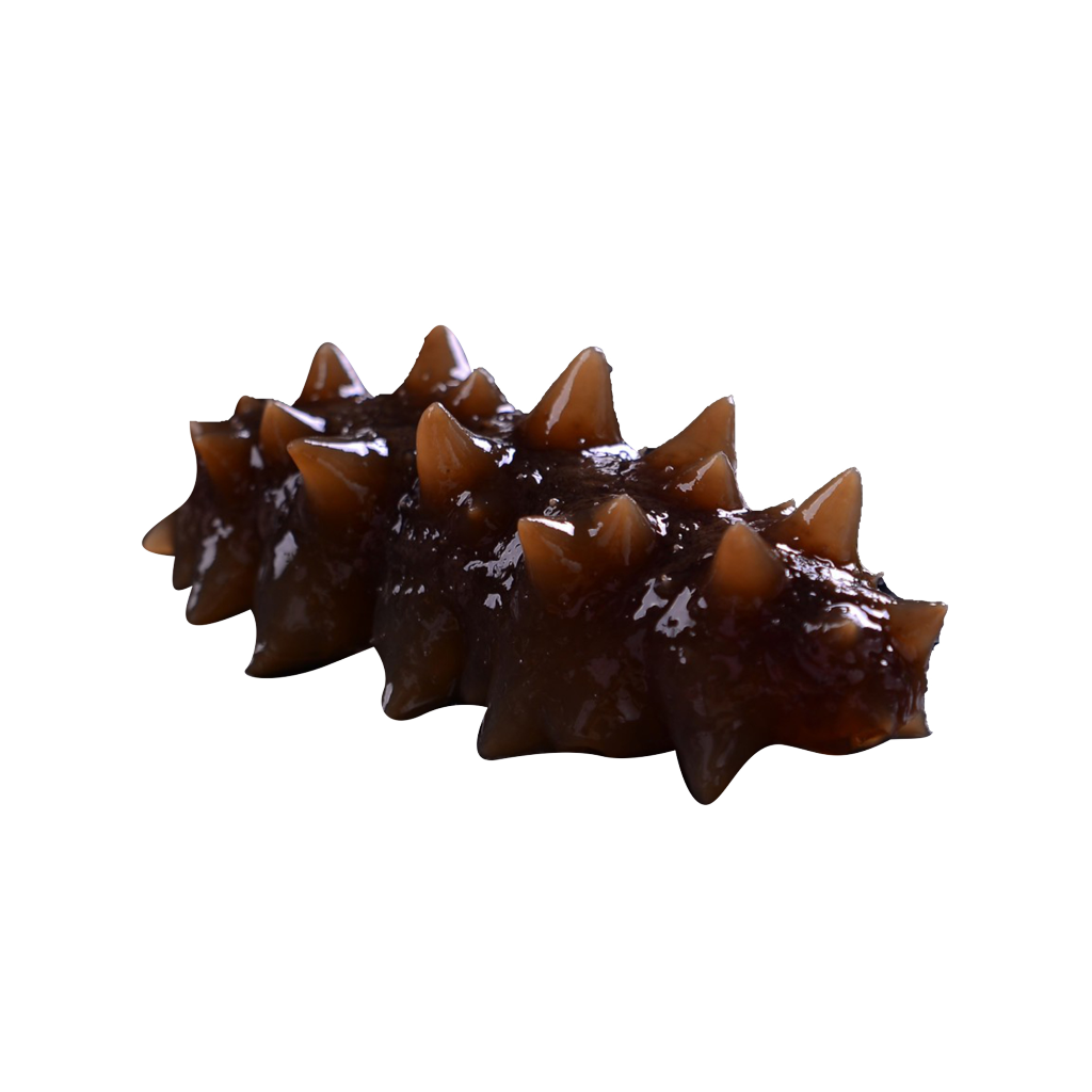 老人怎么吃海參有營養？老人吃海參需要注意什么？
